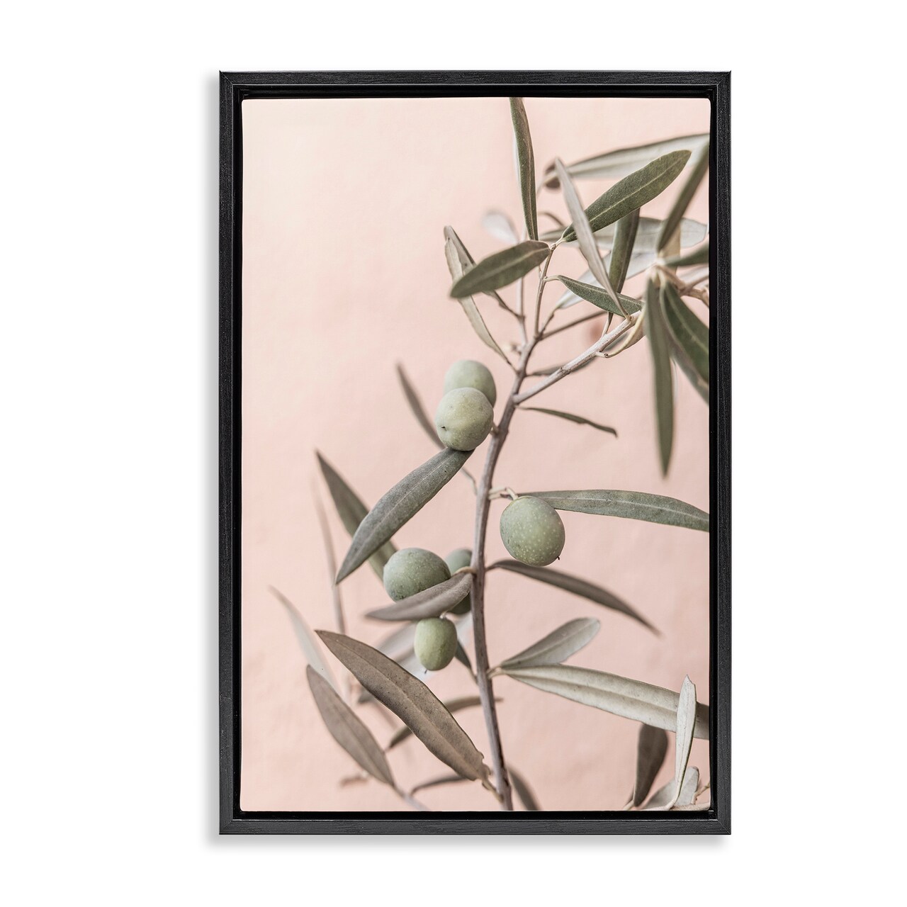 Stupell Industries Spanish Olive Branch Framed Floater Canvas Wall Art Design by Sisi and Seb